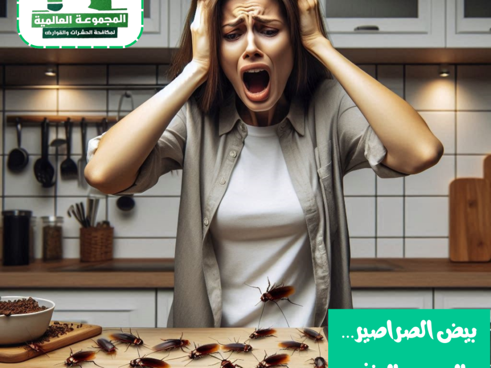 القضاء على الصراصير