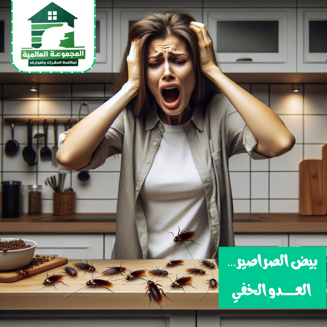 القضاء على الصراصير