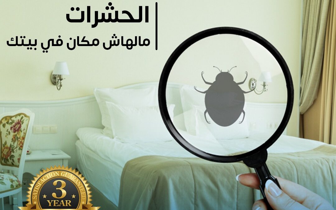 مكافحة الحشرات