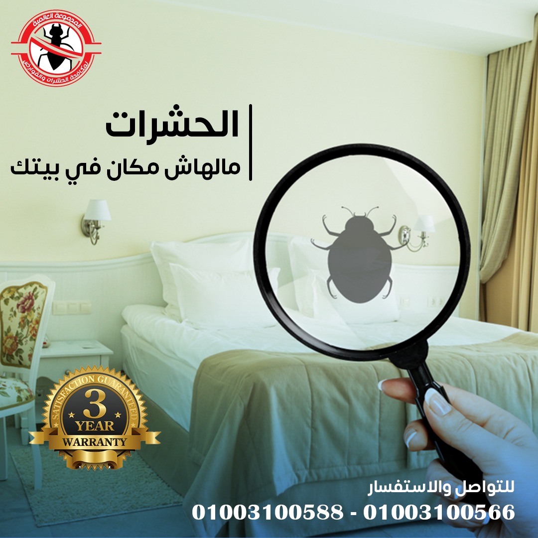 مكافحة الحشرات