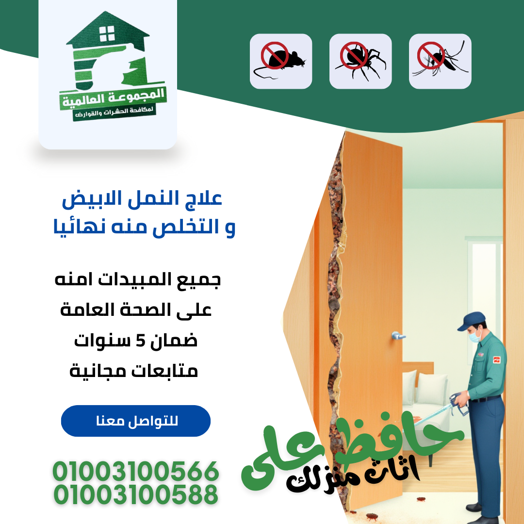 علاج النمل الابيض