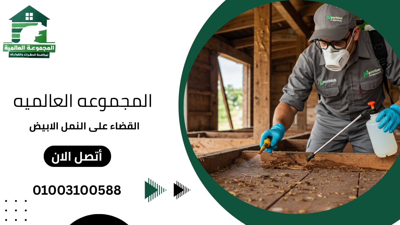 القضاء على النمل الابيض