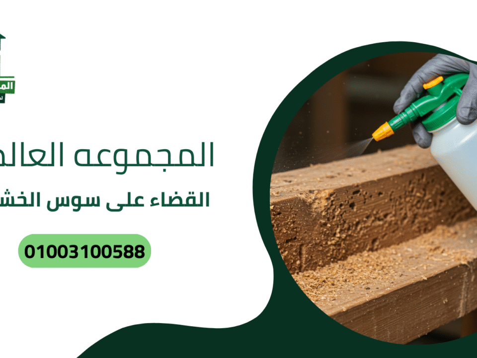القضاء على سوس الخشب