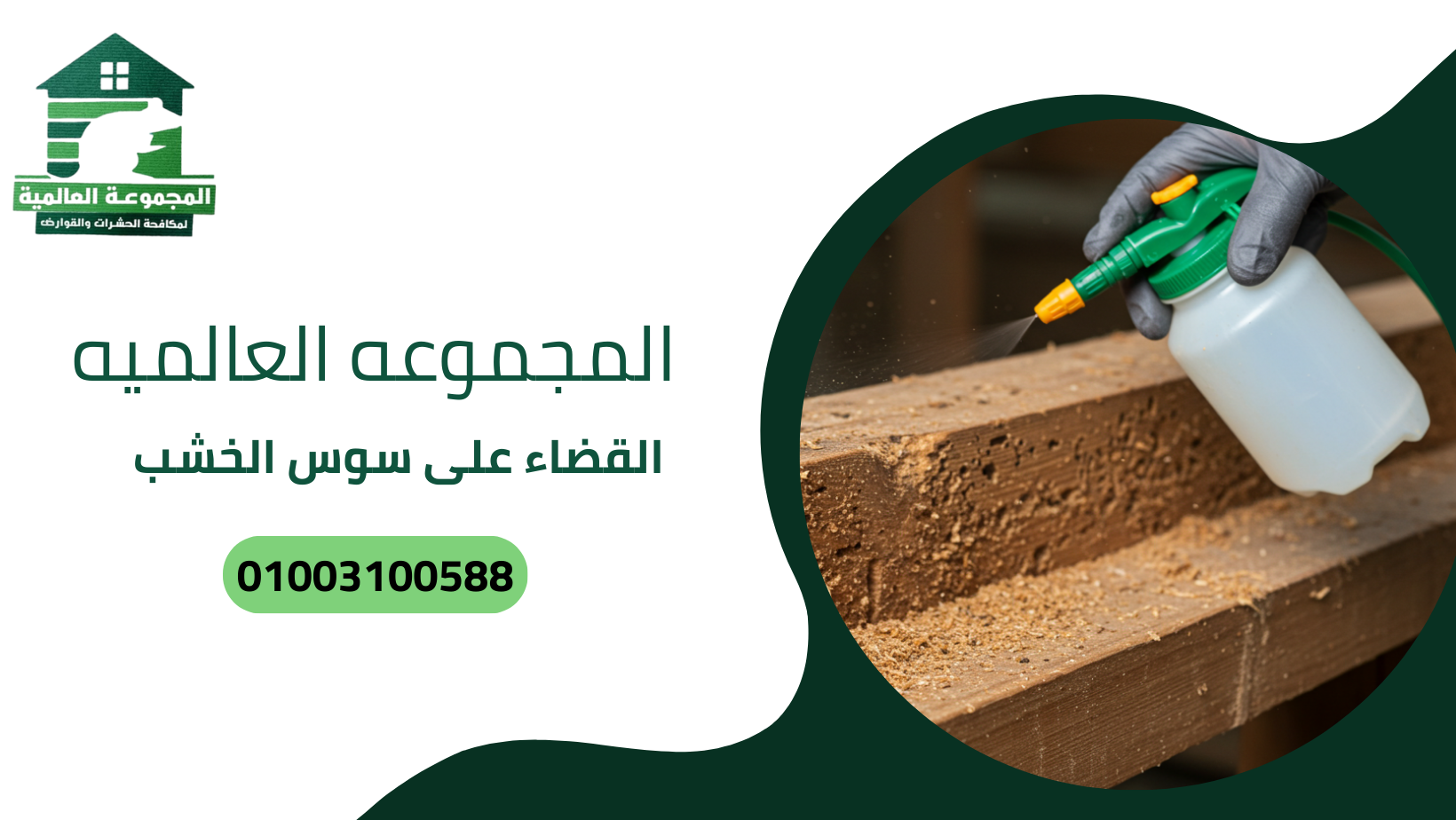 القضاء على سوس الخشب