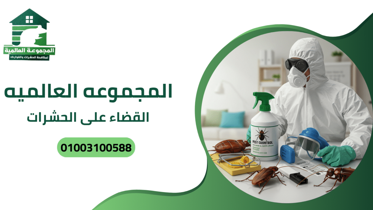 القضاء على الحشرات