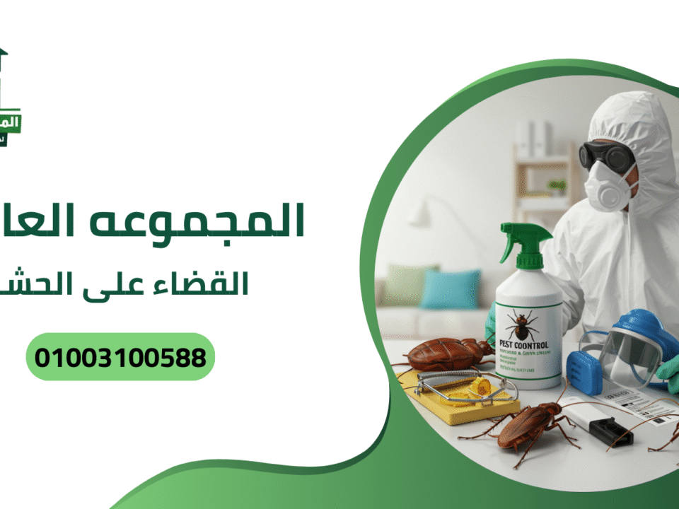 القضاء على الحشرات