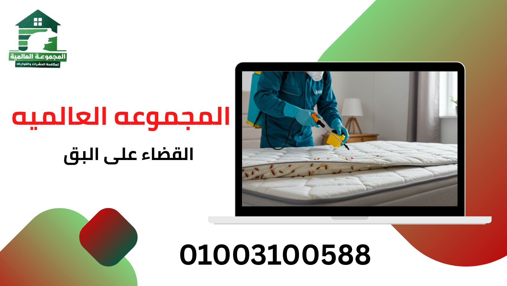 القضاء على البق