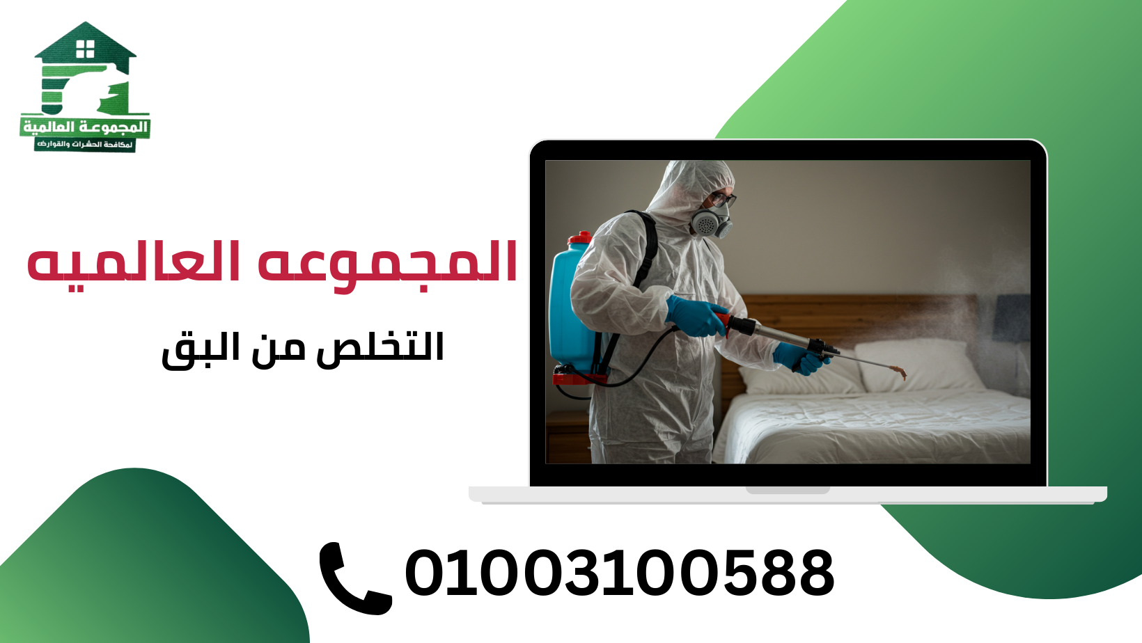 التخلص من البق