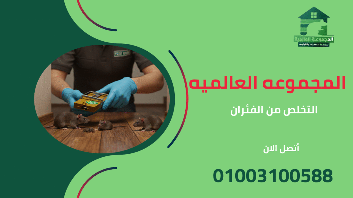 التخلص من الفئران