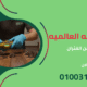 التخلص من الفئران