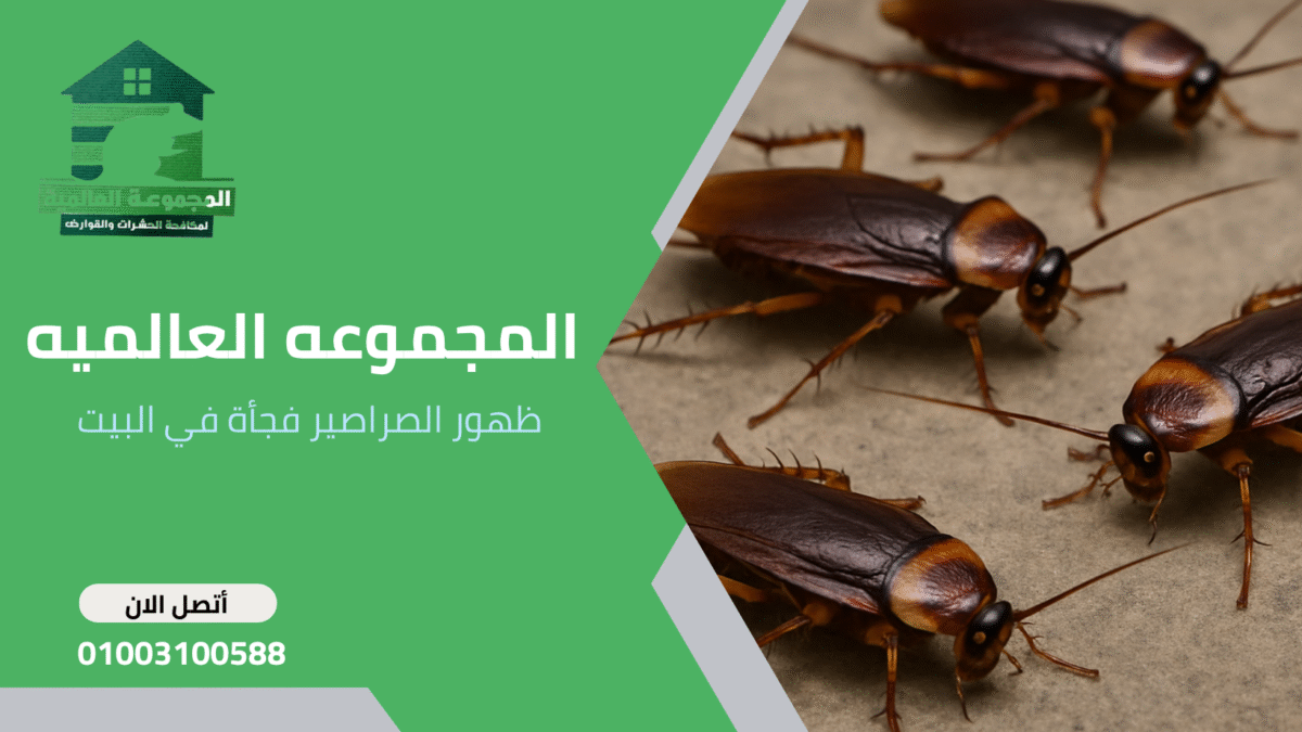 ظهور الصراصير فجأة في البيت