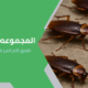 ظهور الصراصير فجأة في البيت