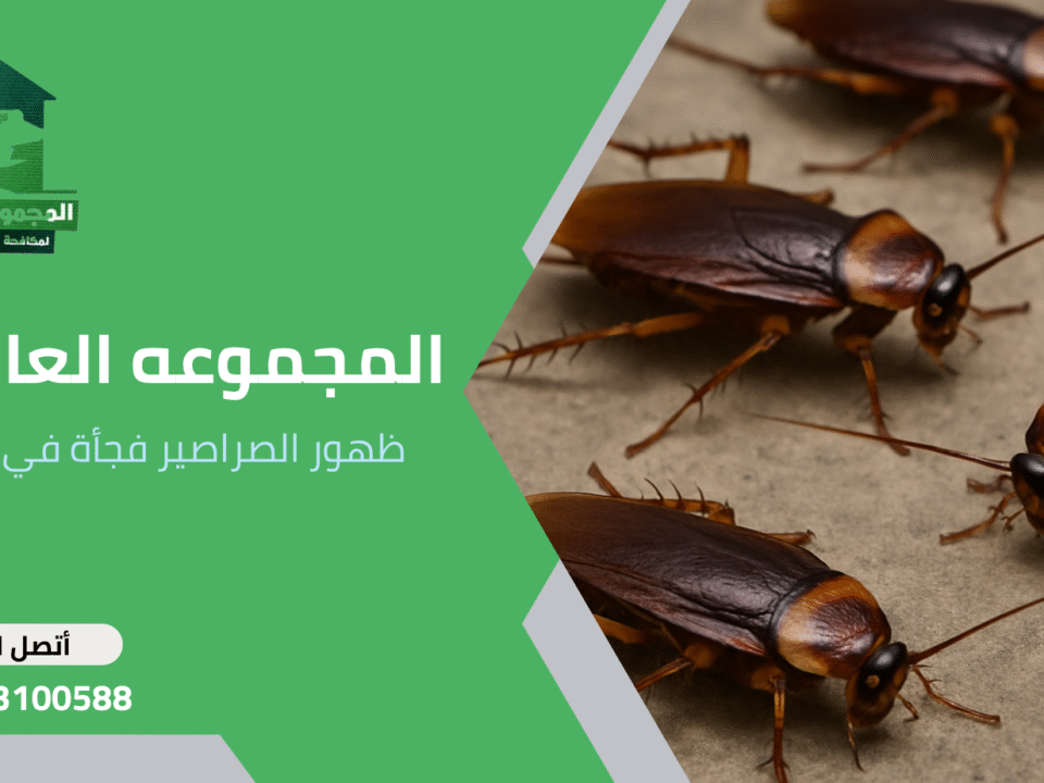 ظهور الصراصير فجأة في البيت
