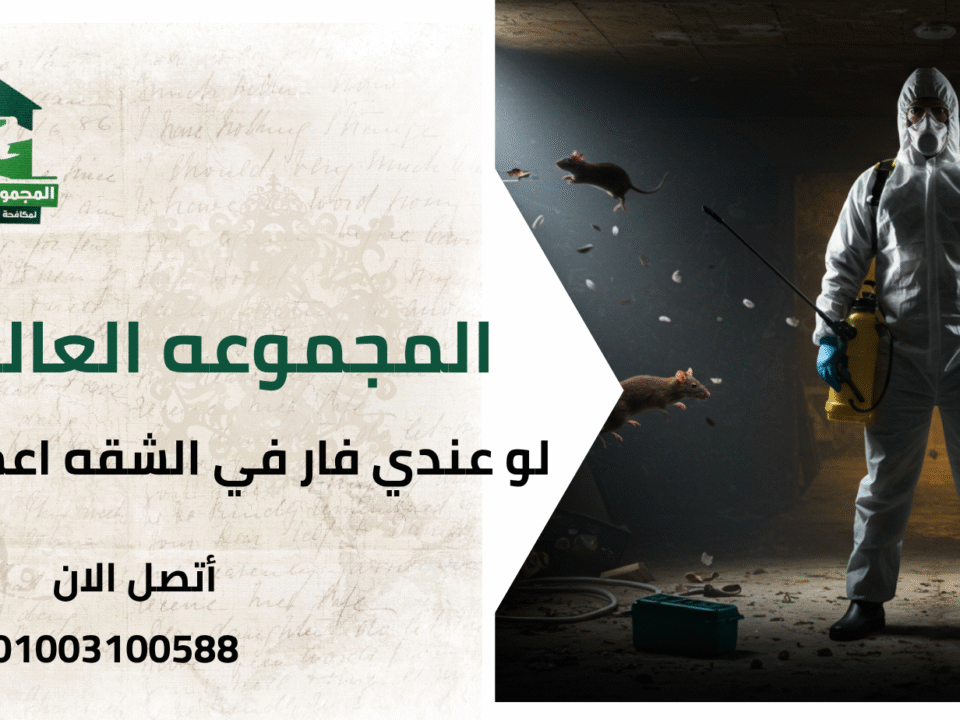 لو عندي فار في الشقه اعمل ايه؟