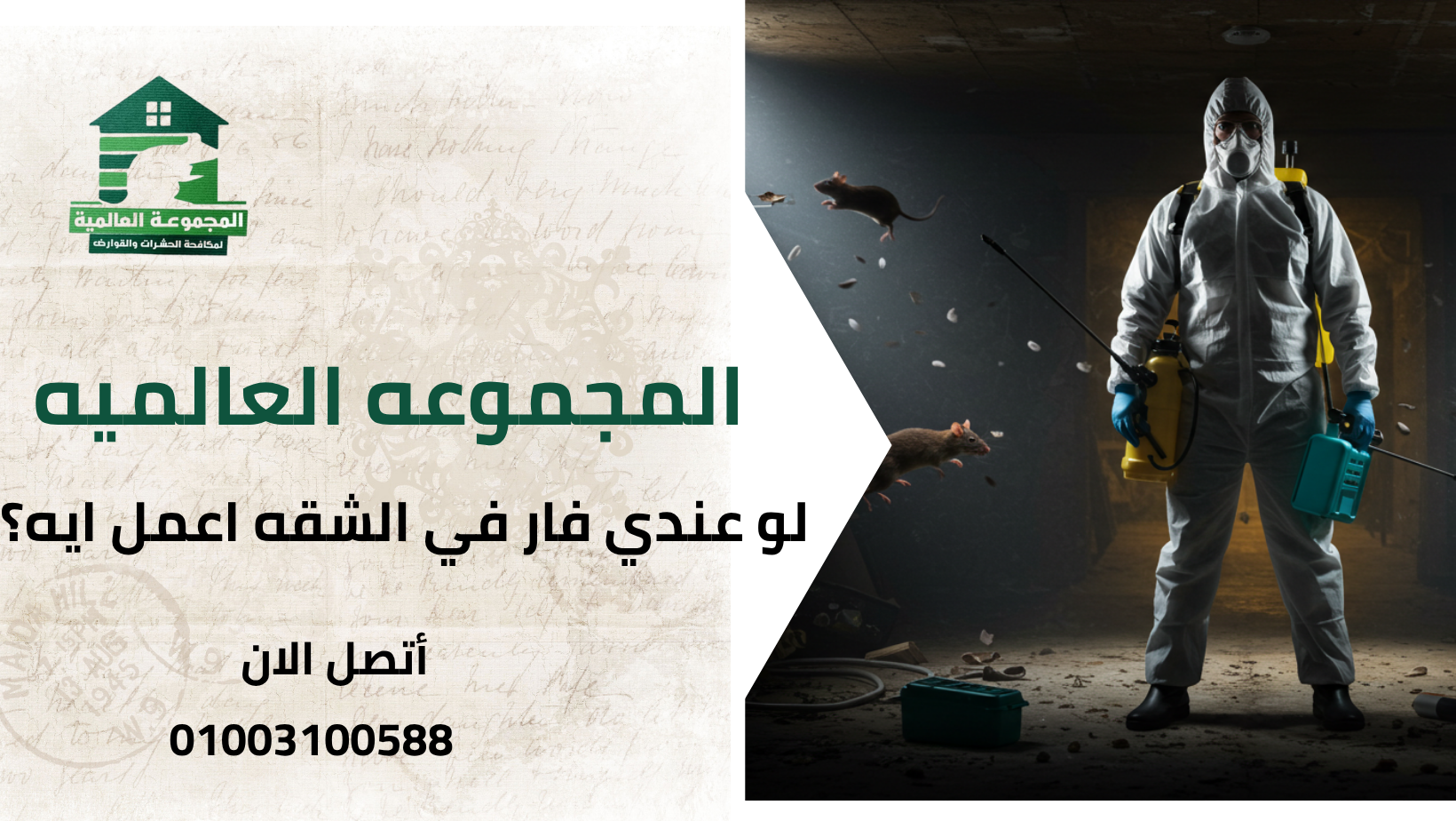 لو عندي فار في الشقه اعمل ايه؟