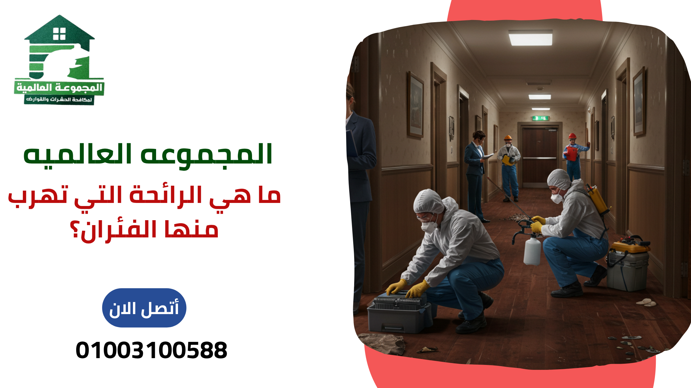 ما هي الرائحة التي تهرب منها الفئران؟