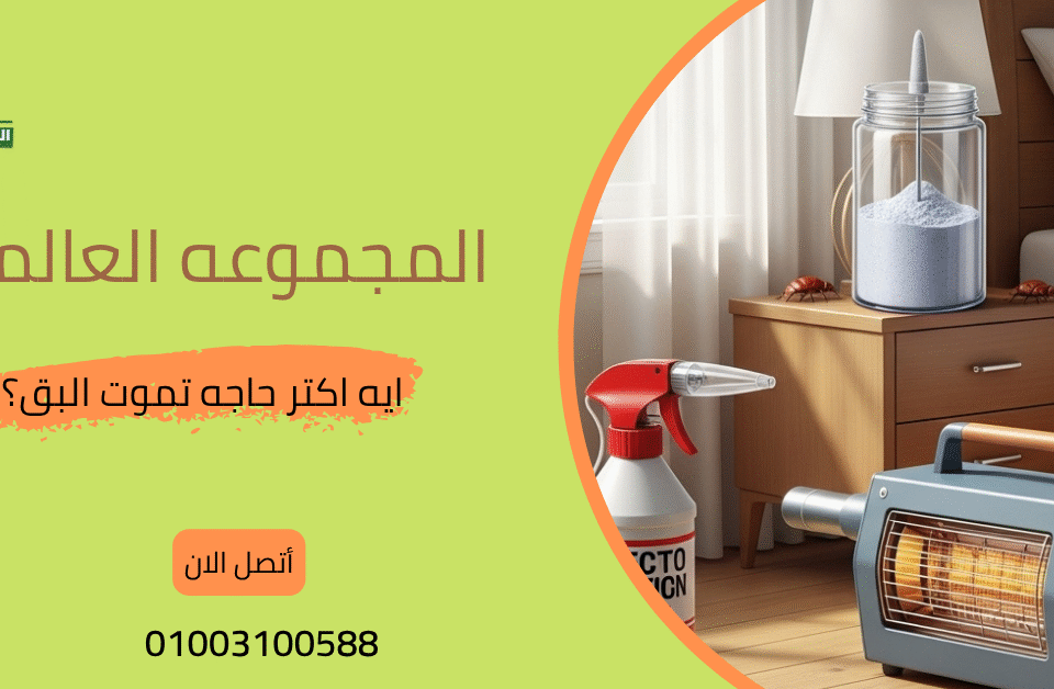 ايه اكتر حاجه تموت البق؟