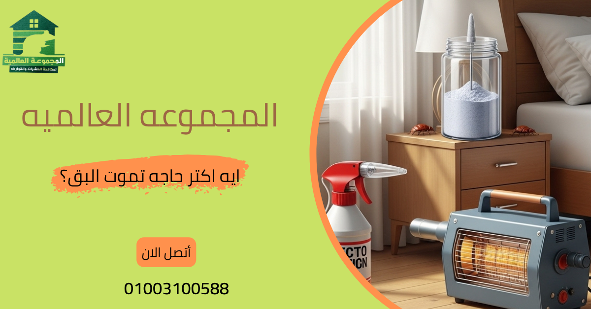 ايه اكتر حاجه تموت البق؟