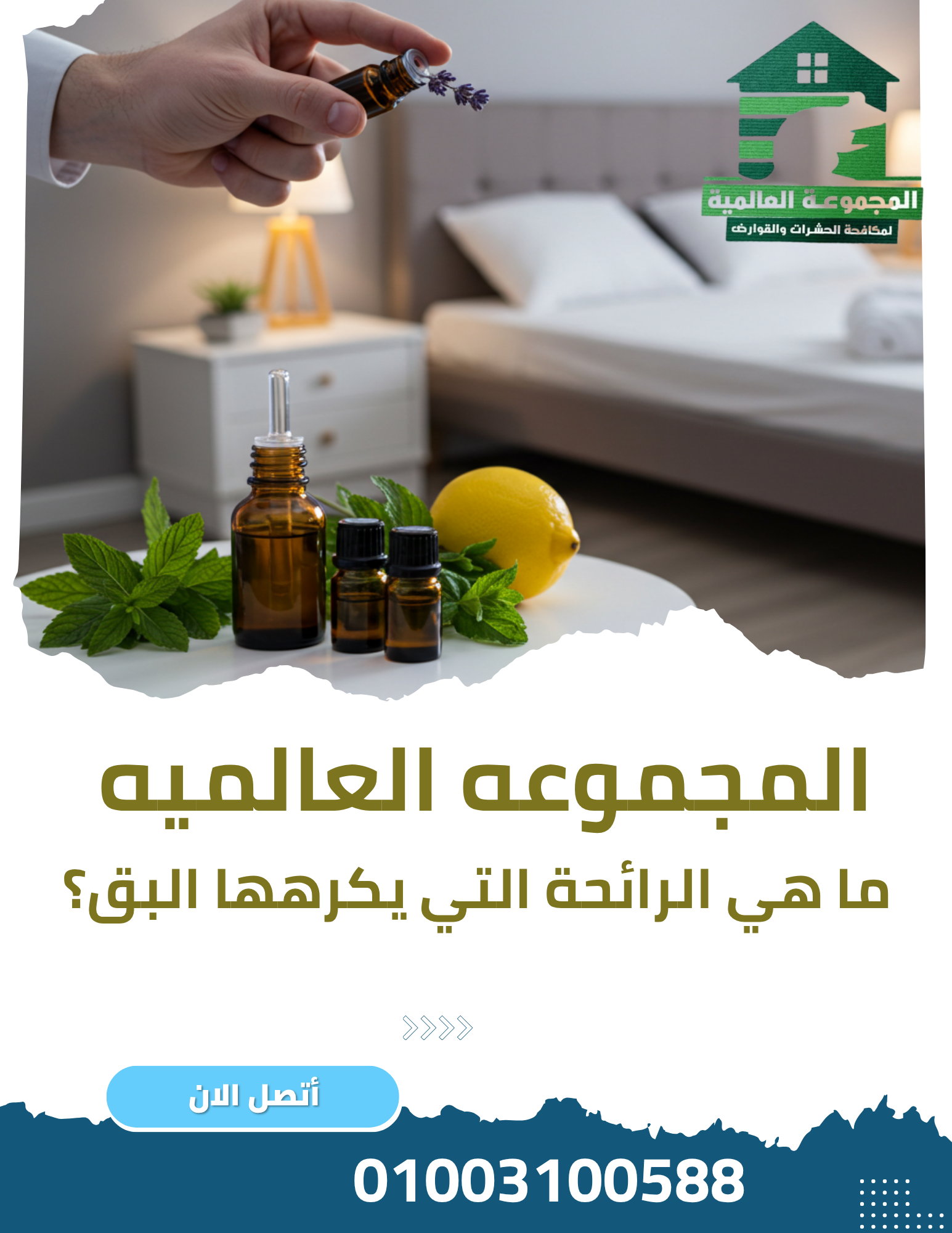 ما هي الرائحة التي يكرهها البق؟