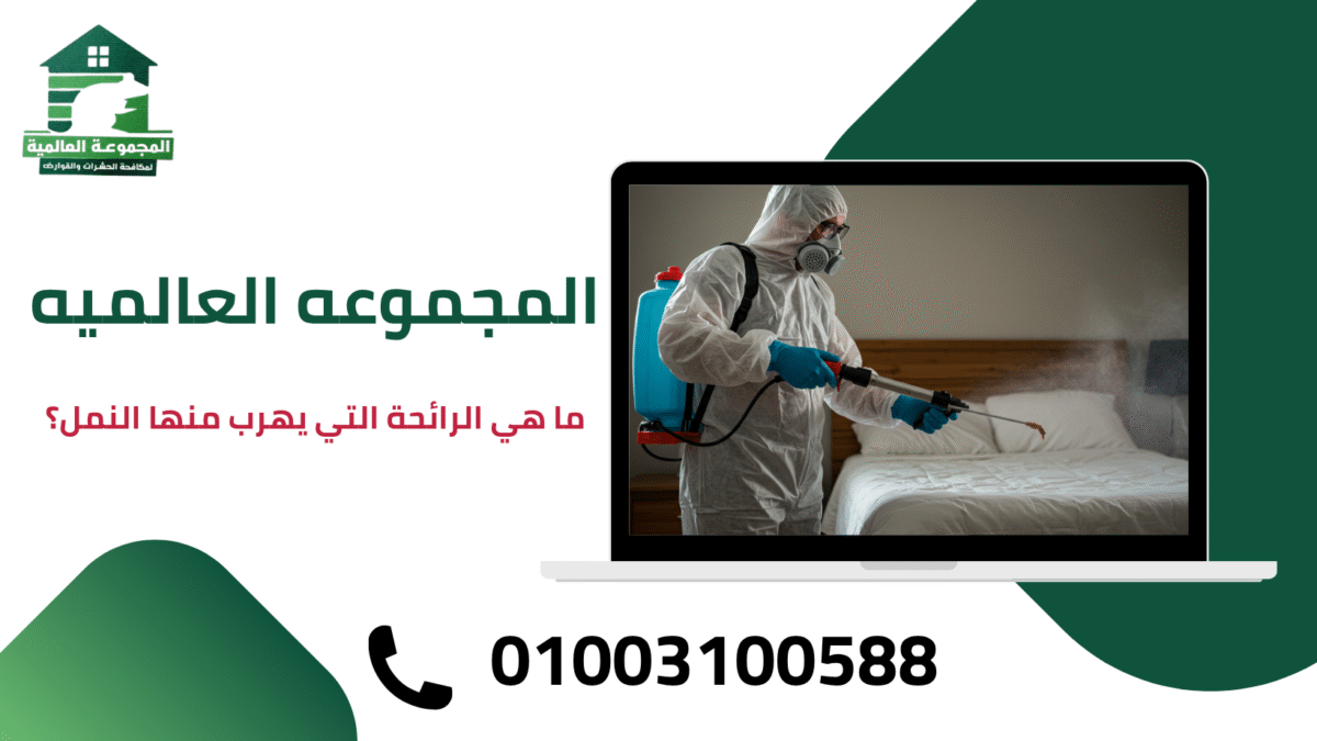 ما هي الرائحة التي يهرب منها النمل؟