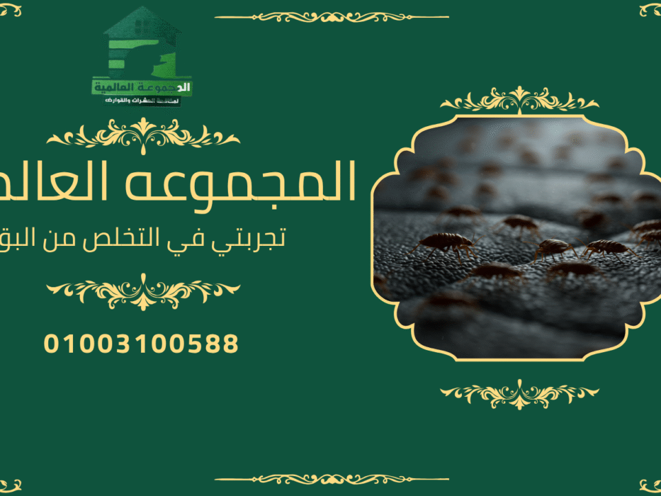 تجربتي في التخلص من البق