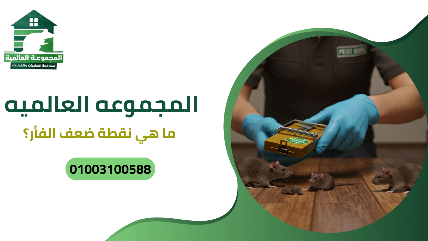 ما هي نقطة ضعف الفأر؟