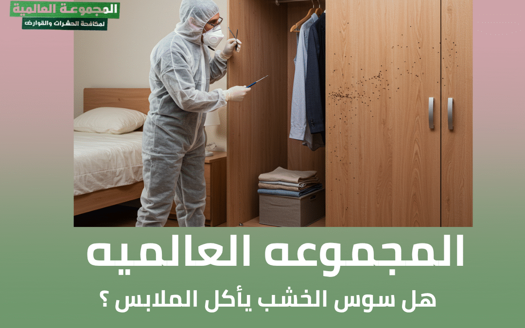 هل سوس الخشب يأكل الملابس ؟
