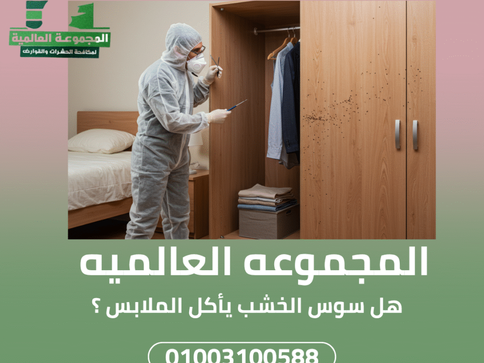 هل سوس الخشب يأكل الملابس ؟
