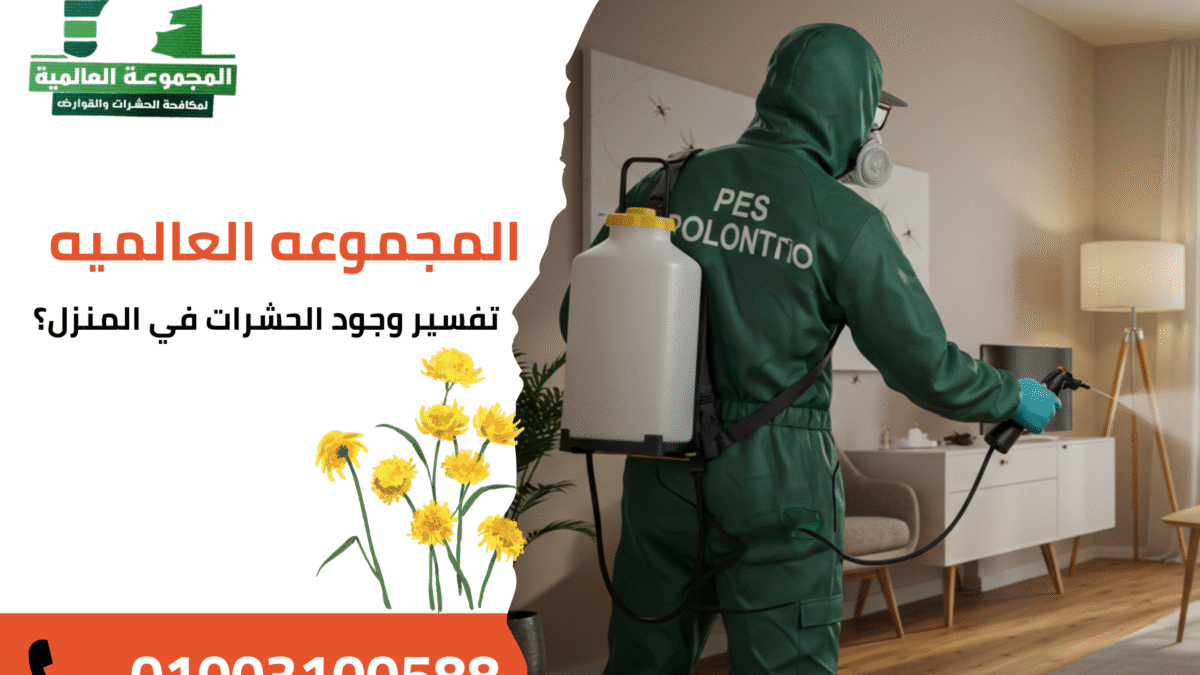 تفسير وجود الحشرات في المنزل؟