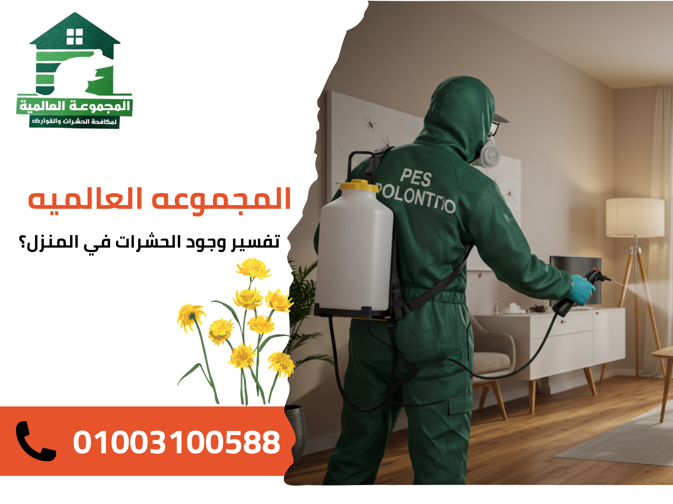 تفسير وجود الحشرات في المنزل؟