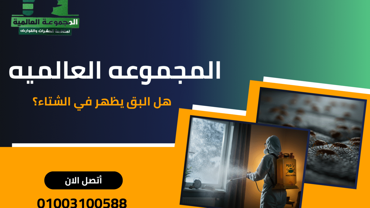 هل البق يظهر في الشتاء؟