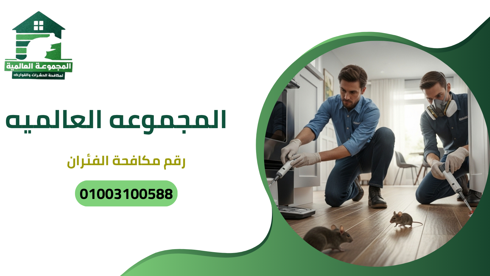 رقم مكافحة الفئران