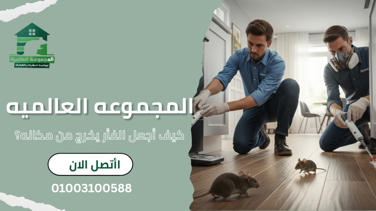 كيف أجعل الفأر يخرج من مكانه؟