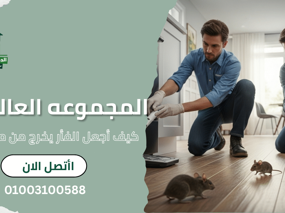 كيف أجعل الفأر يخرج من مكانه؟