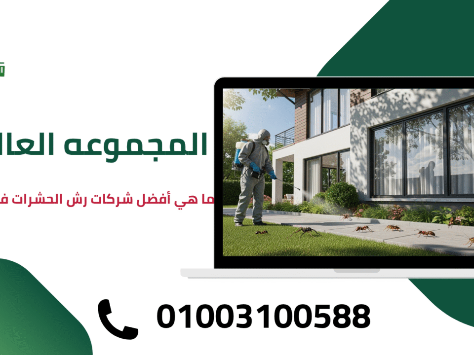 ما هي أفضل شركات رش الحشرات في القاهرة؟