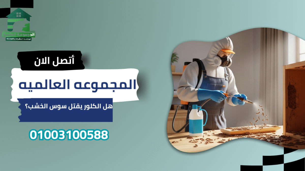 هل الكلور يقتل سوس الخشب؟