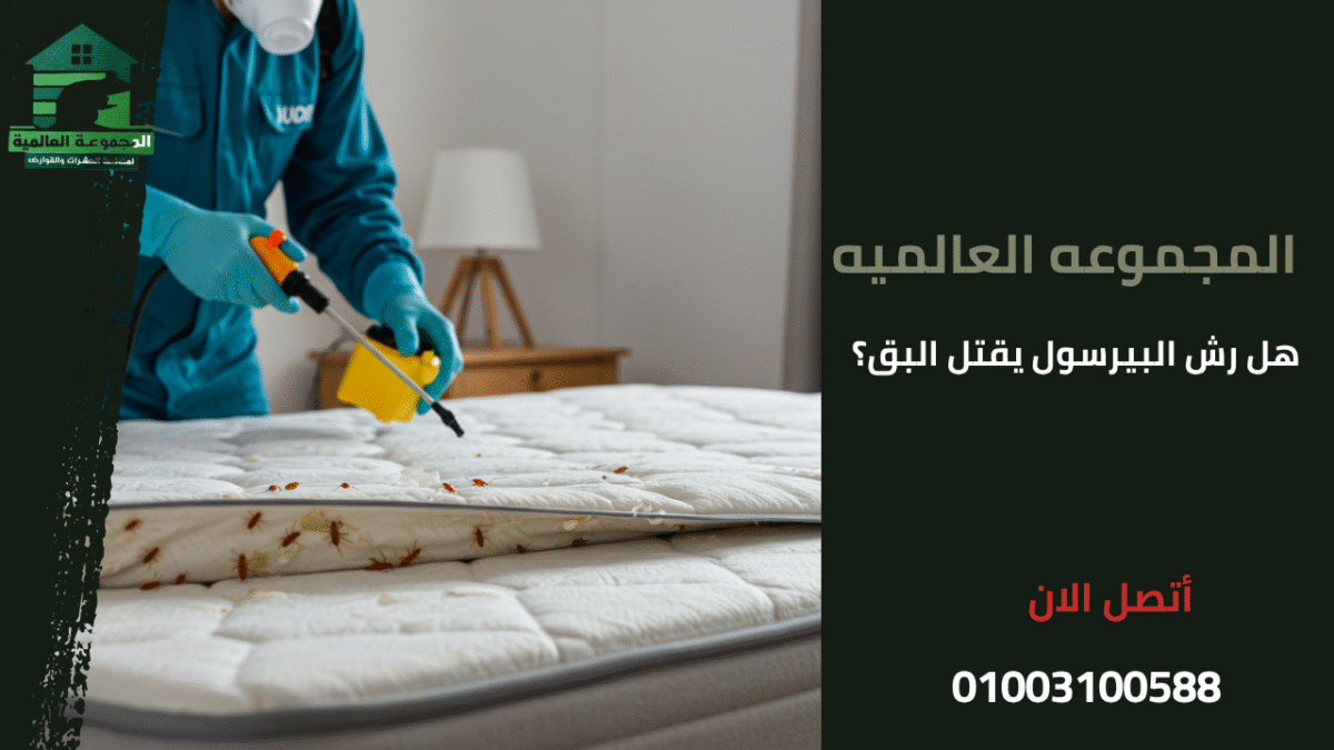 هل رش البيرسول يقتل البق؟