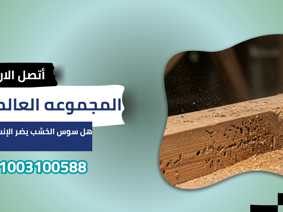 هل سوس الخشب يضر الإنسان؟