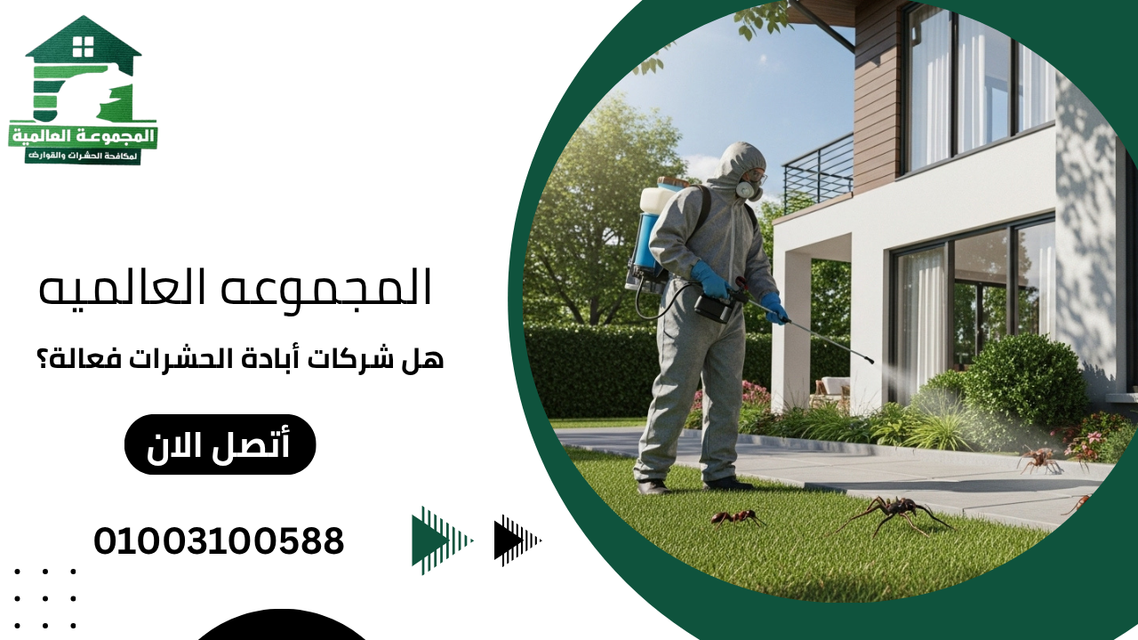 هل شركات أبادة الحشرات فعالة؟