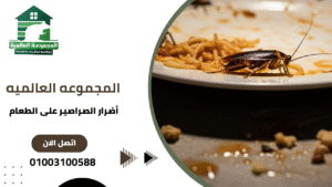 أضرار الصراصير على الطعام