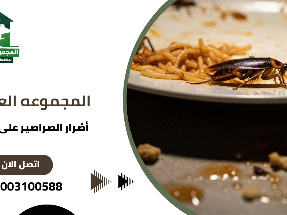 أضرار الصراصير على الطعام