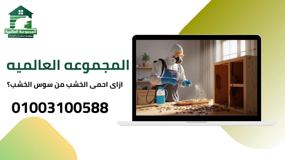 ازاى احمى الخشب من سوس الخشب؟