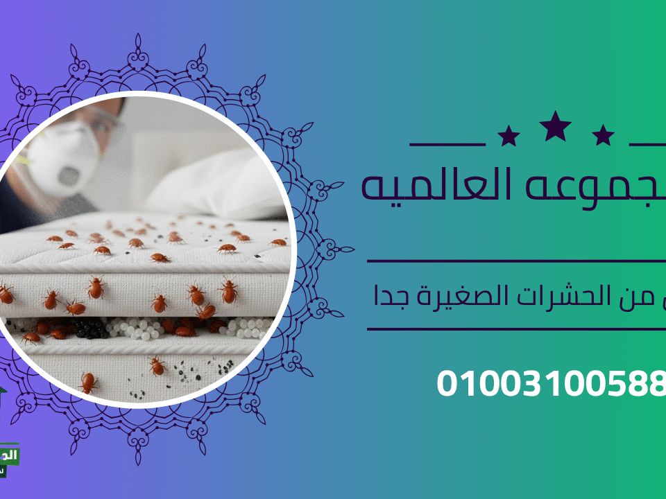 التخلص من الحشرات الصغيرة جدا