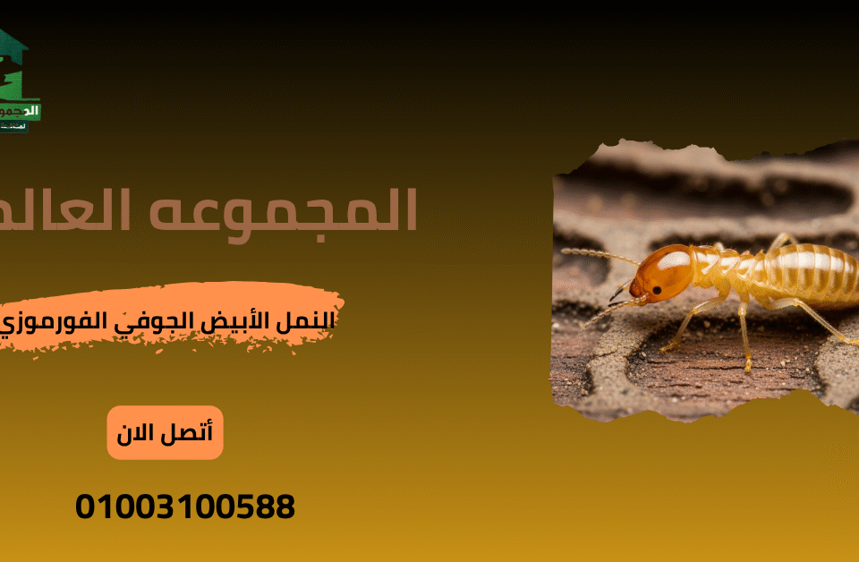 النمل الأبيض الجوفي الفورموزي