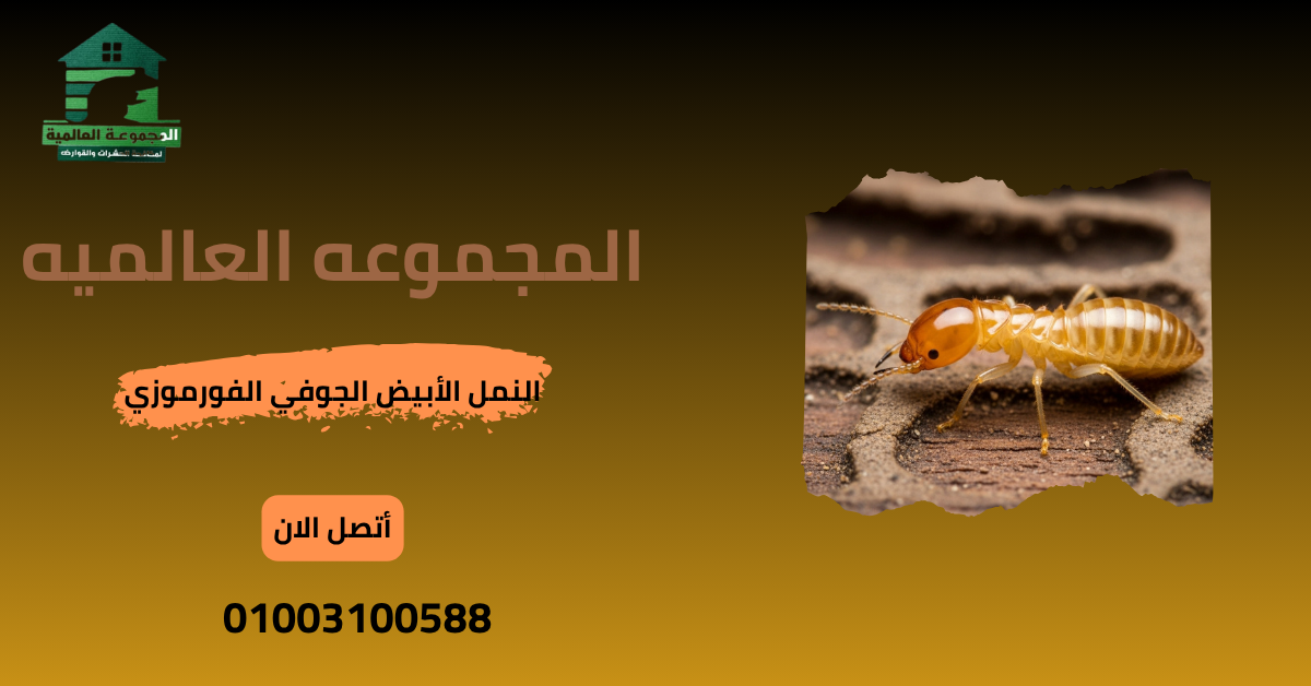 النمل الأبيض الجوفي الفورموزي