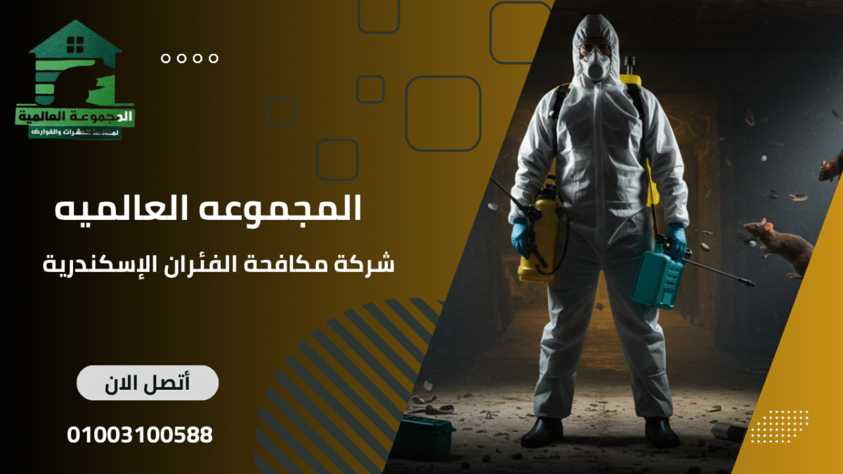 شركة مكافحة الفئران الإسكندرية