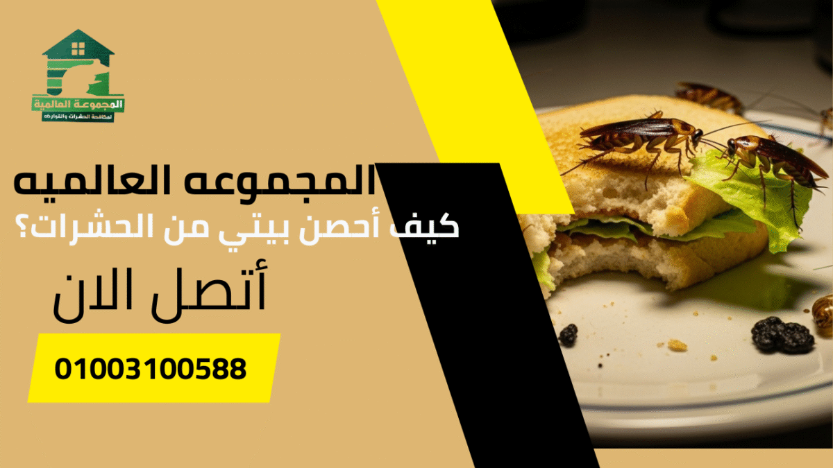 كيف أحصن بيتي من الحشرات؟