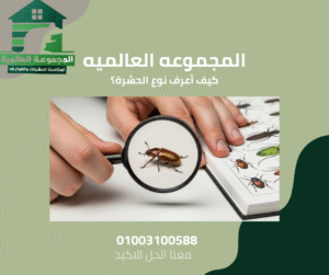 كيف أعرف نوع الحشرة؟