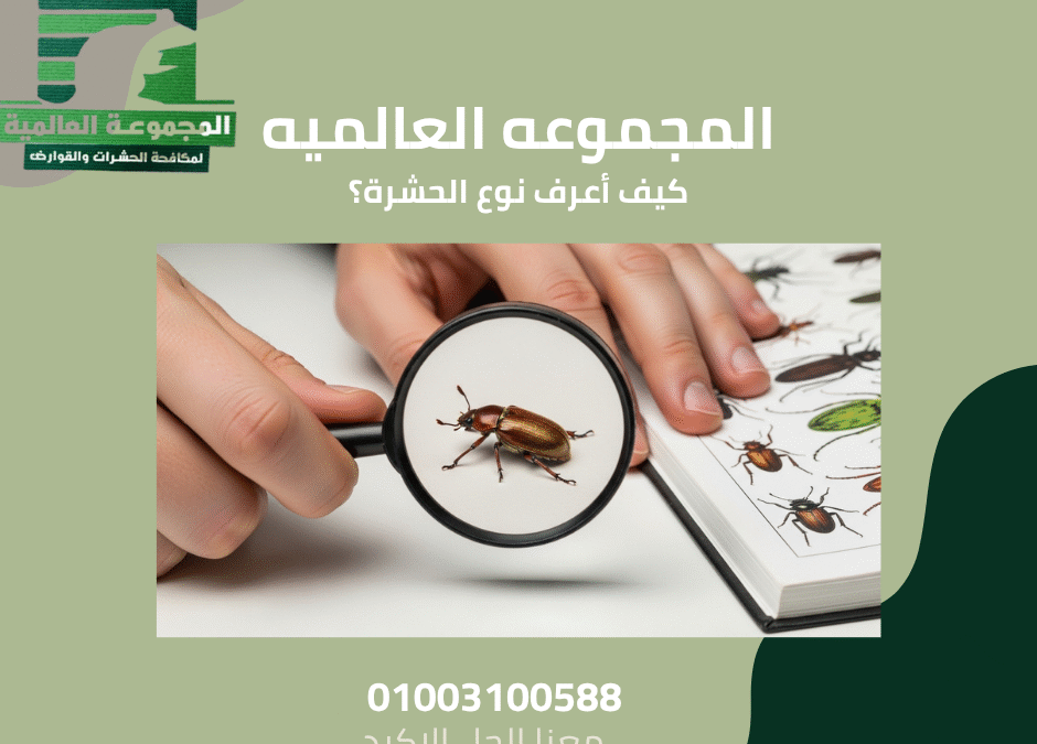 كيف أعرف نوع الحشرة؟
