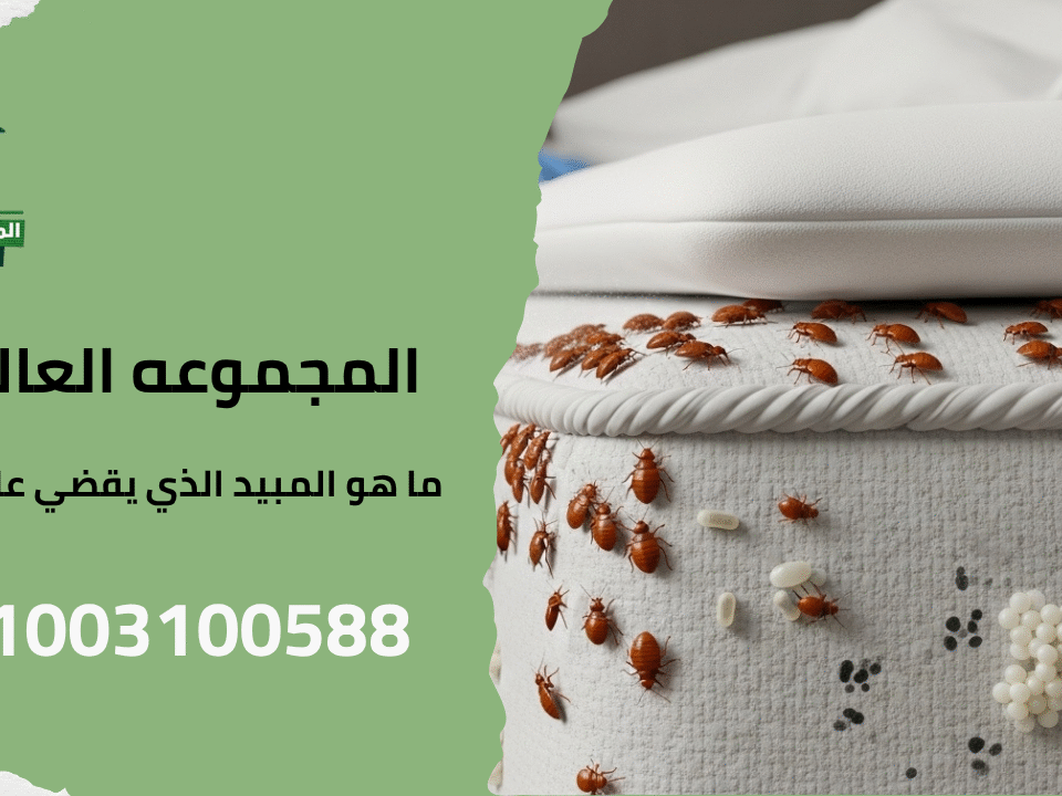 ما هو المبيد الذي يقضي على البق؟